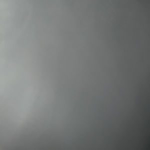 Meet your Posher, Molly