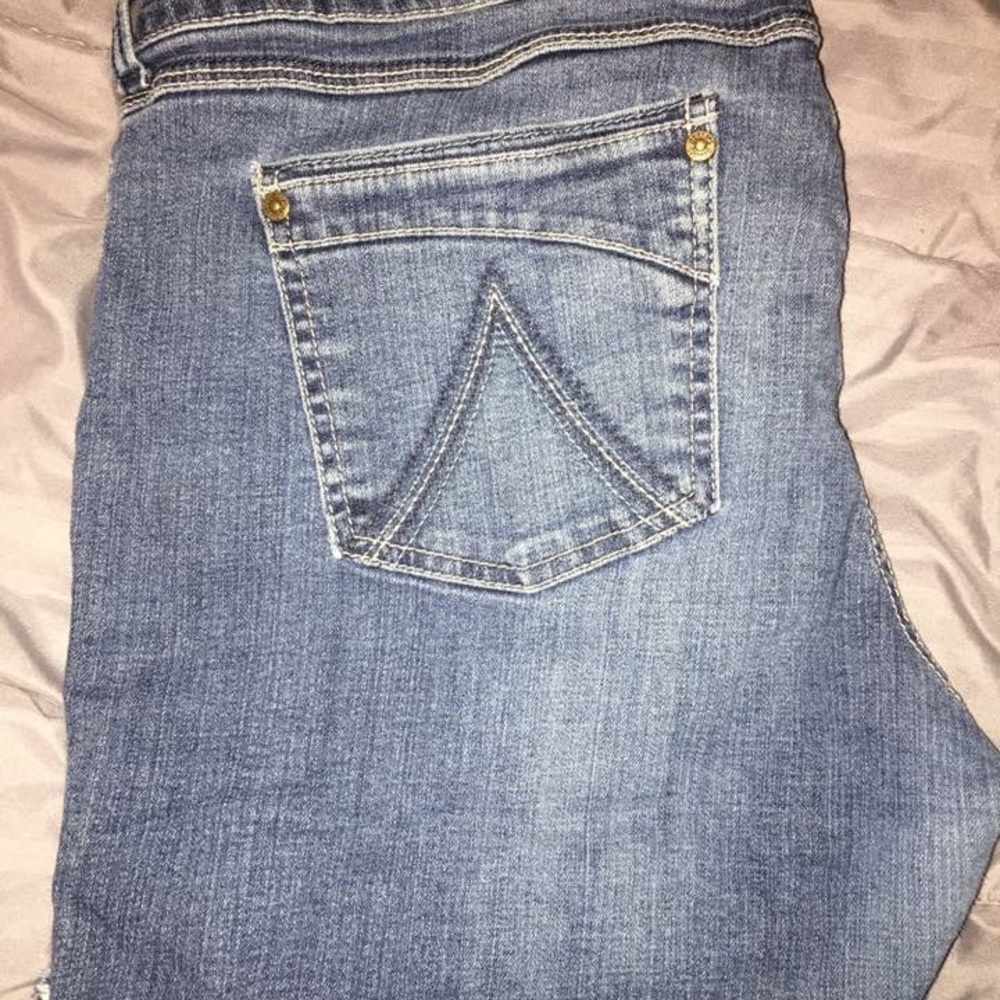 Zanadi Plus Size Shorts