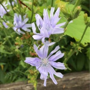 Meet your Posher, Lily