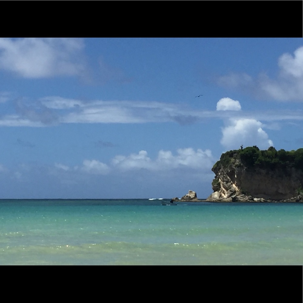 Meet your Posher, Catherine