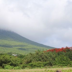 Meet your Posher, Brook