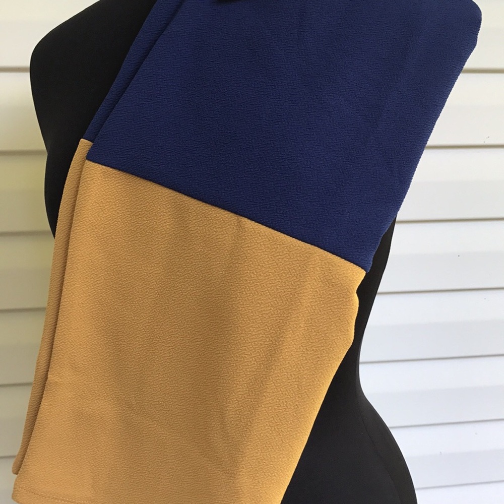 BNWT LuLaRoe Cassie - Large