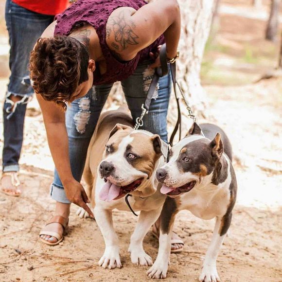 Meet your Posher, Shalaia - Picture 1 of 1