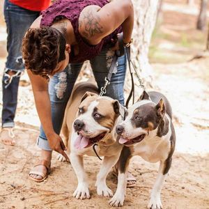 Meet your Posher, Shalaia