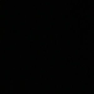 Meet your Posher, Carson