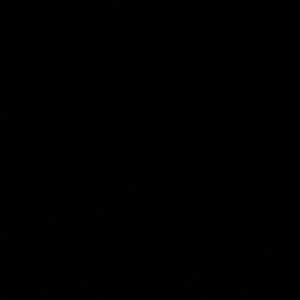 Meet your Posher, Khaneshaa