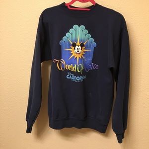 Disney Wold of Color Hanes Sweatshirt