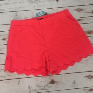 NWT scalloped shorts