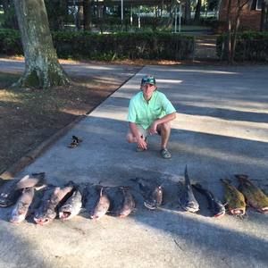 Meet your Posher, Tyler