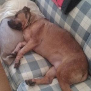 Meet your Posher, Phillip