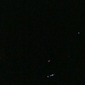 Meet your Posher, Elvis