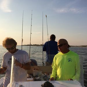 Meet your Posher, Nolan