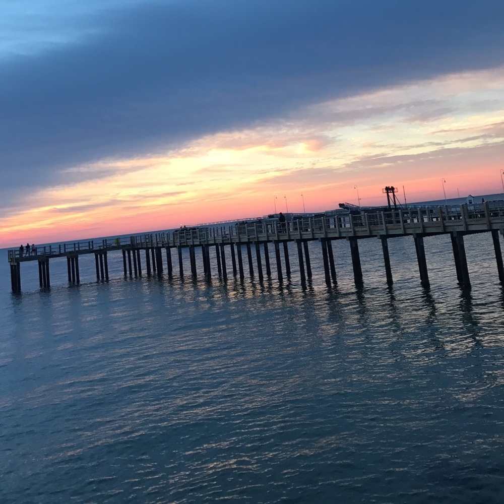 Meet your Posher, Grace