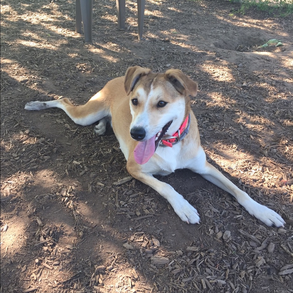 Meet your Posher, Doug