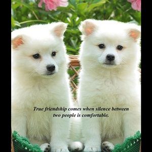 Meet your Posher, Bernadette