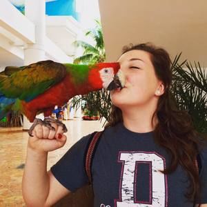 Meet your Posher, Alexa
