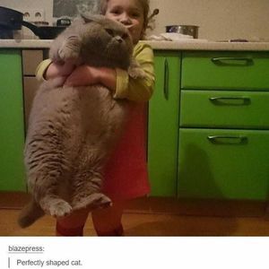 Meet your Posher, Rhonda