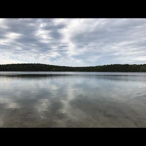 Meet your Posher, Taryn