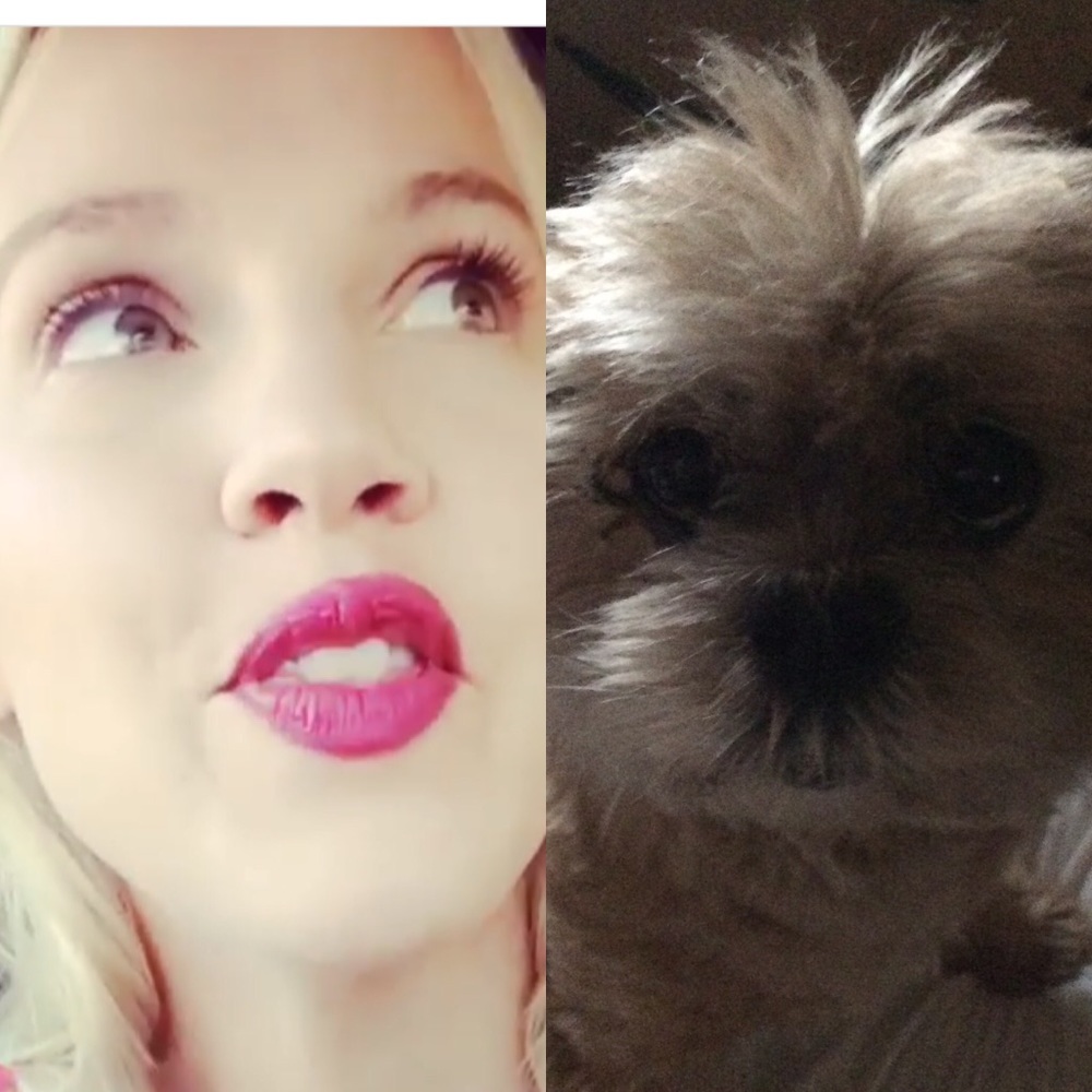 Filthy T shirt.  1/2 dog 1/2 woman. Smelly and old