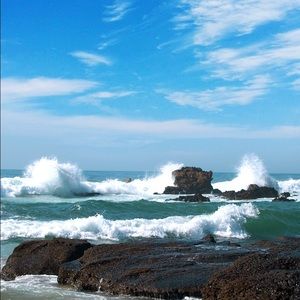 Meet your Posher, Ebony