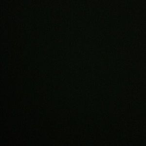 Meet your Posher, Iliana