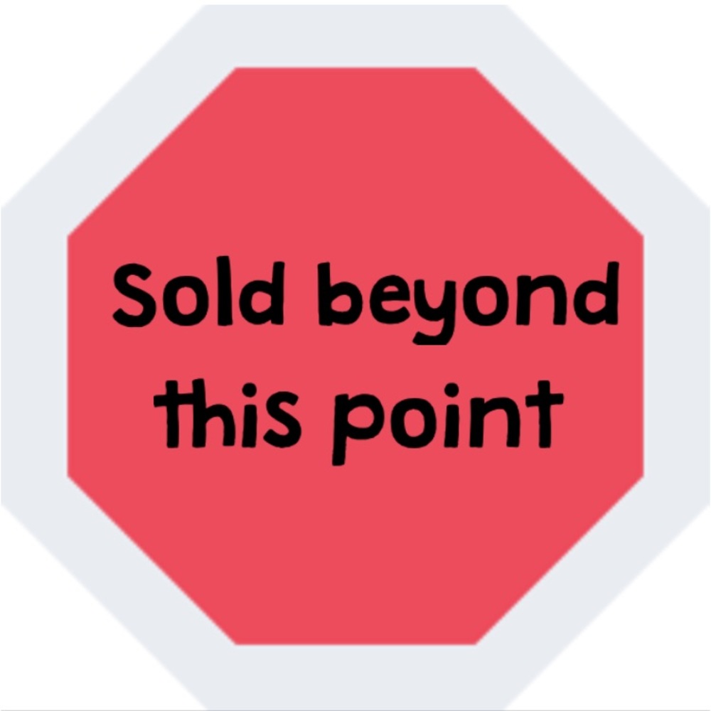 ⛔️SOLD BEYOND THIS POINT⛔️