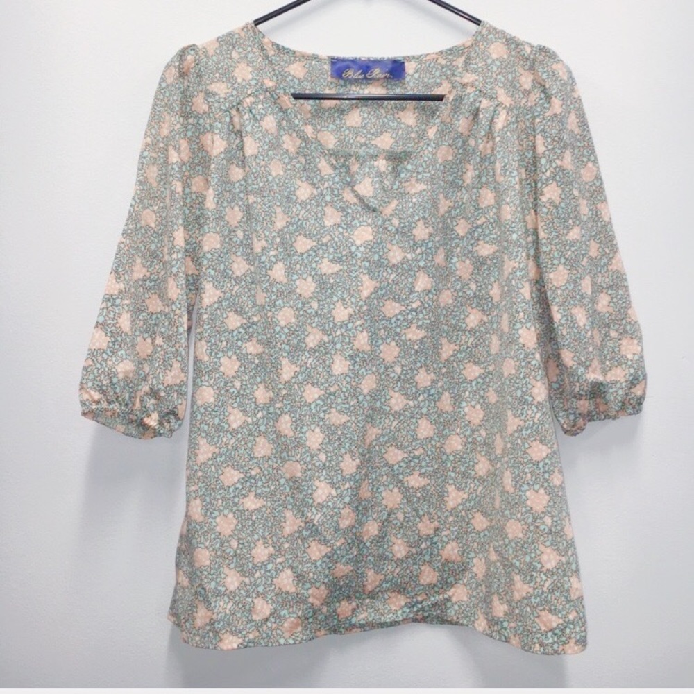 Blue and Pink Silky Blouse