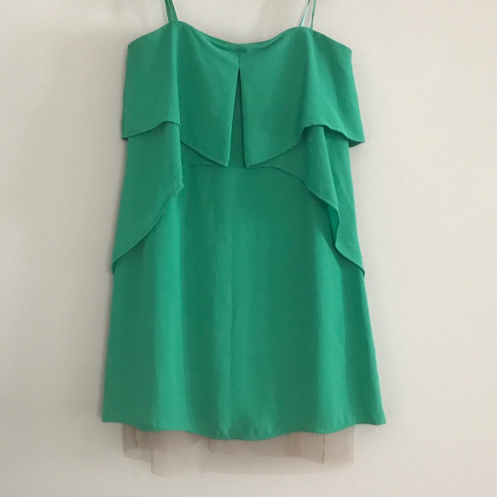 NWT BCBG MaxAzria runway limited edition dress