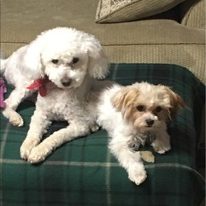 Meet your Posher, Daryl