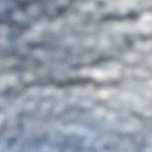 Meet your Posher, Bryant