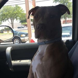 Meet your Posher, Caleb