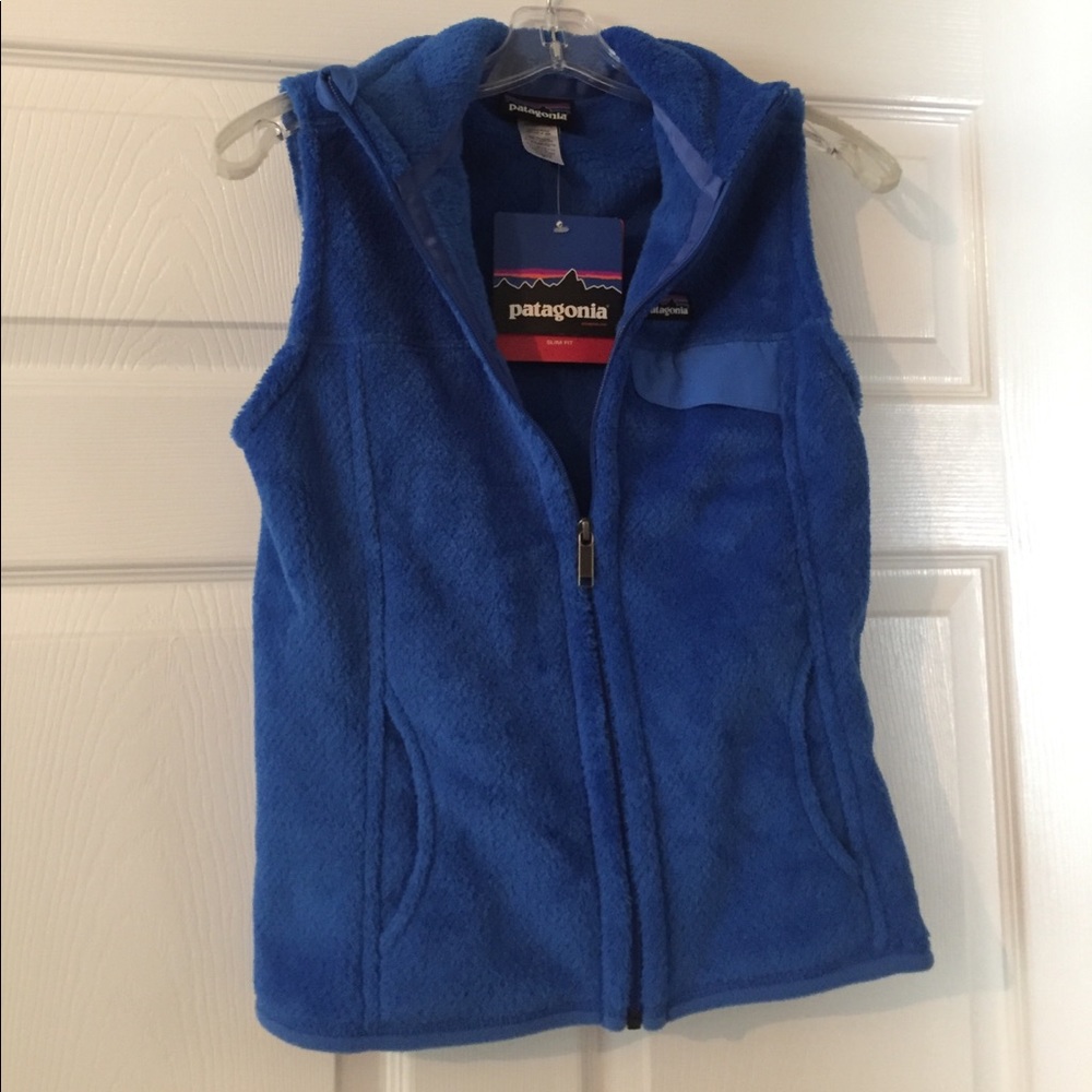 Blue Patagonia vest