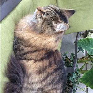 Meet your Posher, Liam