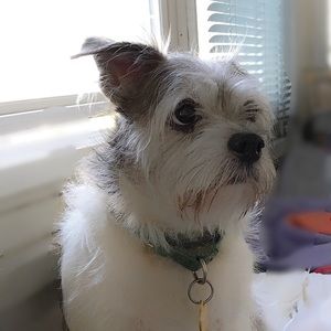 My Cody.    Not for sale