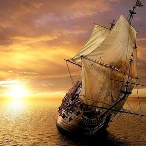 Meet your Posher, Devon