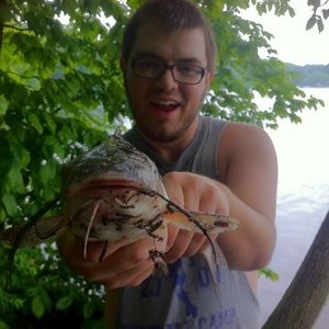 Meet your Posher, Max