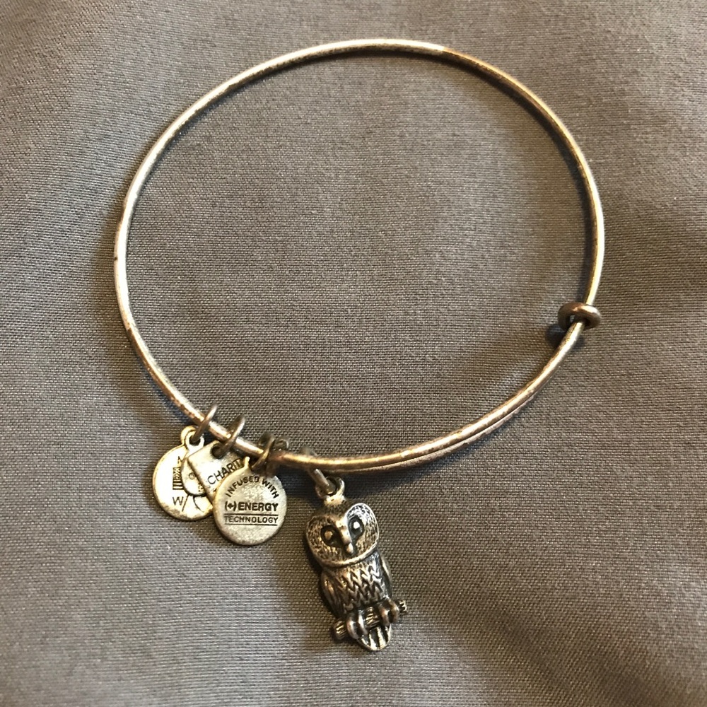 Owl - Wisdom - Alex and Ani - USED