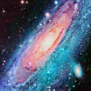 Meet your Posher, Bernardo