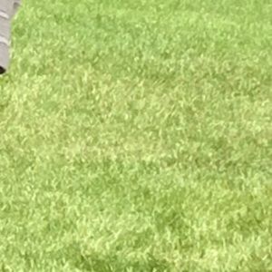 Meet your Posher, Brook