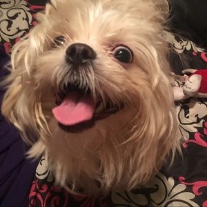 Meet your Posher, Paola