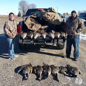 Meet your Posher, Alfonso