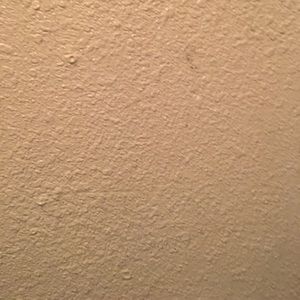 Meet your Posher, Bernardo