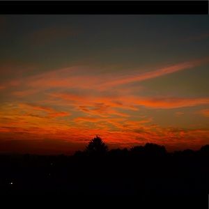 Meet your Posher, Mickie