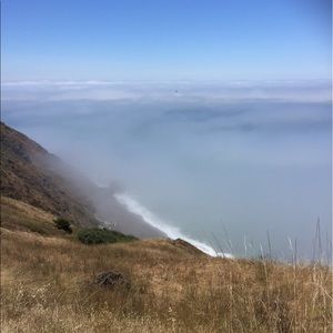 Meet your Posher, Jules