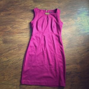 Plum Work Dress