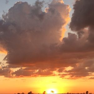 Meet your Posher, Arelia