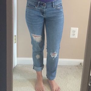 Ann Taylor Loft Modern Crop distressed Torn Jeans