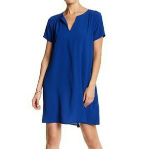 ☆48 Hr Sale☆  LUSH Blue Split Neck Dress