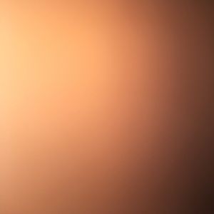 Meet your Posher, Genesis