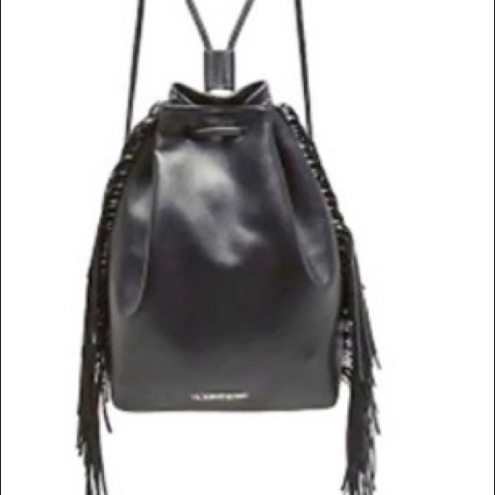 Backpack/Purse